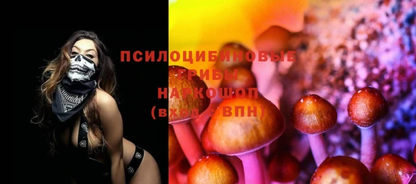 прущие крисы Алзамай