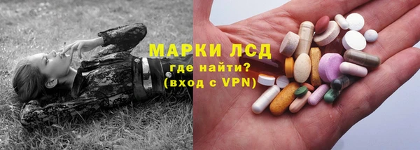 стаф Аркадак